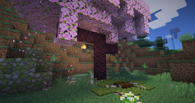 burrow1.png