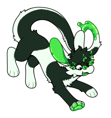 Ash_TF_Step5 (1).png