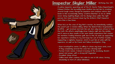 Sky Profile 2025.png