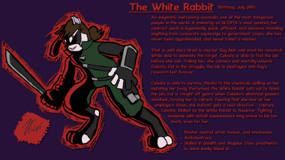 Rabbit Profile 2025.png